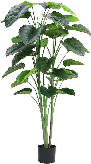Vente-unique Kunstpflanze Baja Baum in Grün, Höhe: 60 cm - Bild 1