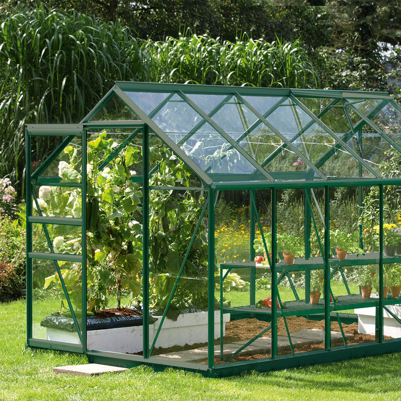 Vitavia Gewächshaus Venus 6200 in Smaragd Grün mit ESG-Glas und Schiebetür - Bild 4