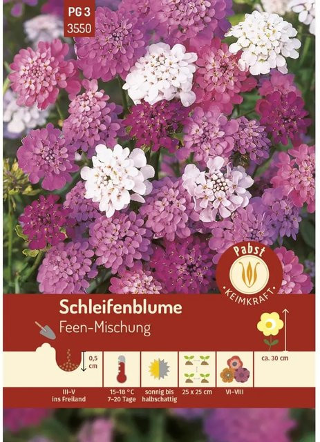 Pabst Keimkraft Schleifenblume Feen-Mischung Saatgut für Beete und Pflanzgefäße - Bild 1
