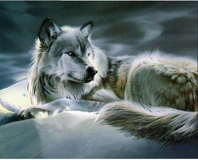 FIYO Diamant-Gemälde Wolf als Mosaik-Stickerei in Grau, B/H: 20 x 30 cm - Bild 1