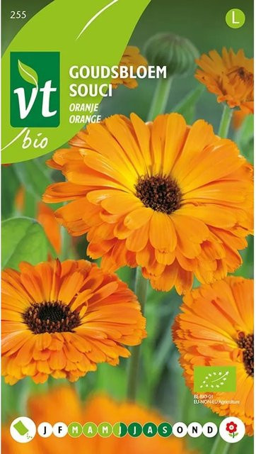Arborix Ringelblume Saatgut Orange Blüten 2 g - Bild 1