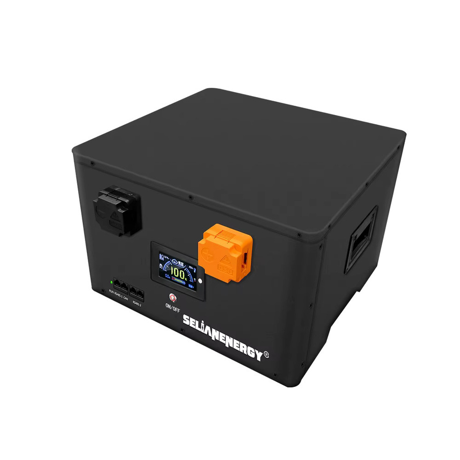 SelianEnergy 4S 12V 628Ah LiFePO4 DIY Batteriebox mit JK 300A Smart BMS und EVE MB56 Zellen, Schwarz - Bild 2