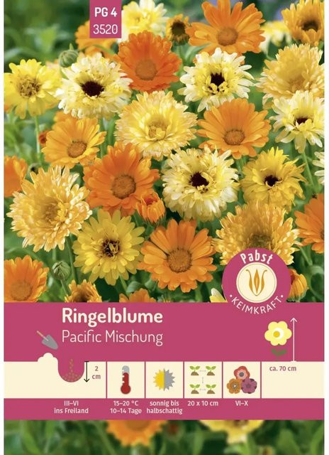 Pabst Keimkraft Ringelblume Pacific Mischung Saatgut für Beete und Rabatten - Bild 1