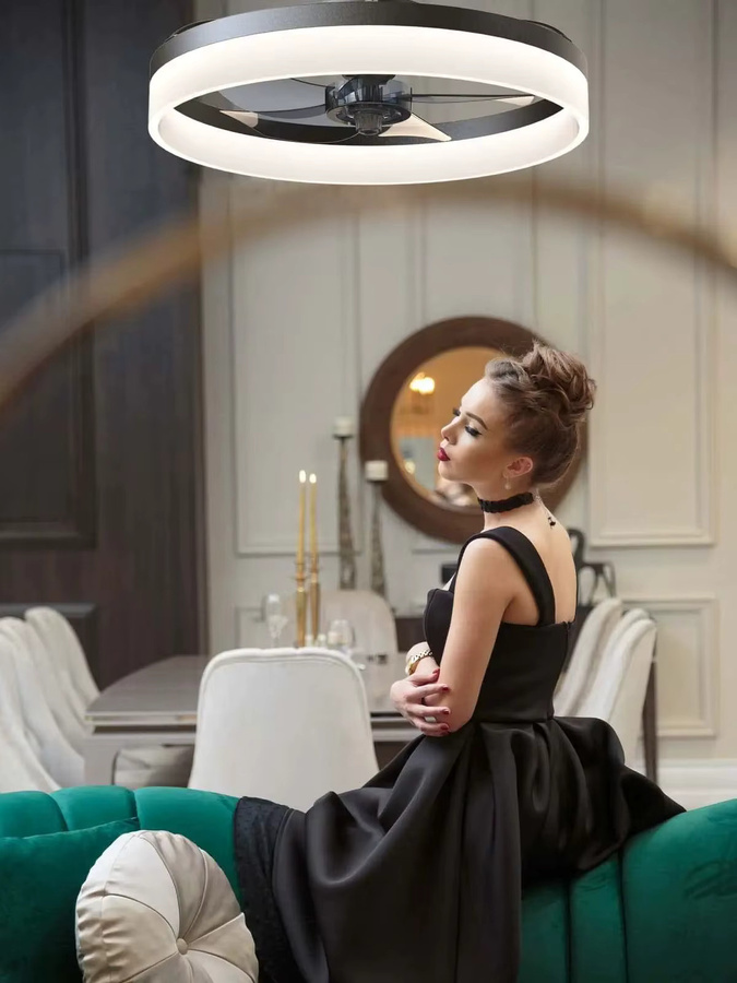 IRALAN Flacher Deckenventilator mit integrierter LED-Lampe, dimmbar, Steuerung per Fernbedienung und App - Bild 2