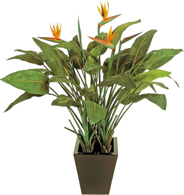 Künstliche Strelitzia Charlotte von Aplanta, grün, Höhe: 130 cm - Bild 1