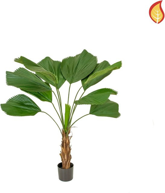 Künstliche Strahlenpalme Pascal von Aplanta, Höhe: 140 cm - Bild 1