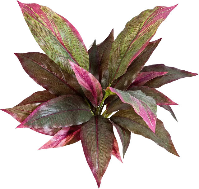 Künstliche Cordyline Marc von Aplanta in Grün, Höhe: 30 cm - Bild 1