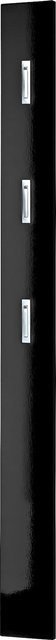 Germania Garderobenpaneel Susanna in Schwarz mit 3 Haken, B/T/H: 15 x 30 x 170 cm - Bild 1