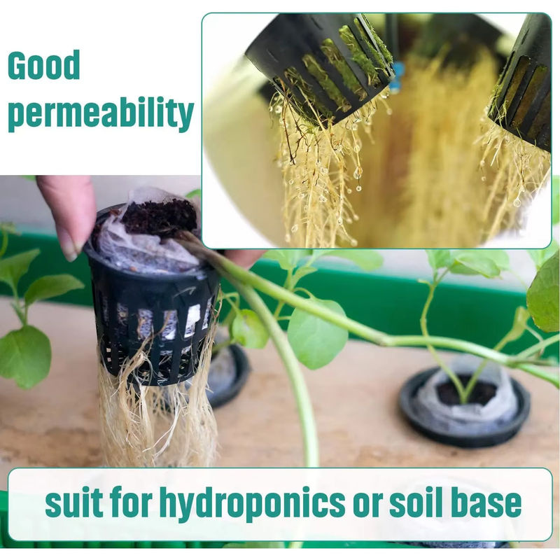 100er Pack Netzbecher mit breitem Rand für Hydrokultur, Aquaponik und Orchideen, Durchmesser: 4,5 cm - Bild 6