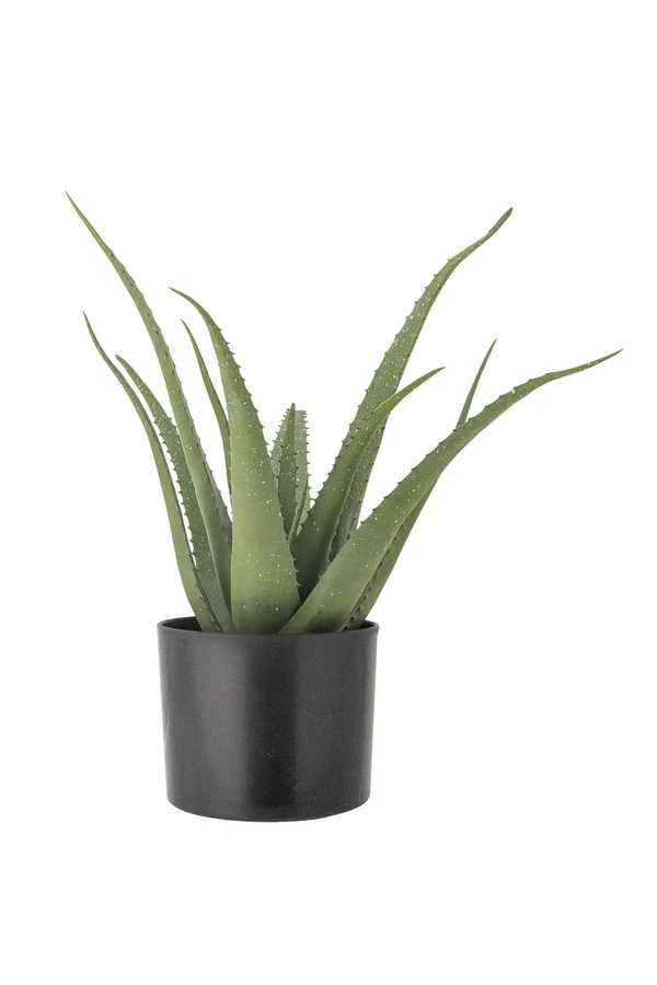 Bloomingville Aloe Vera Kuntpflanze grün im Topf - Bild 1