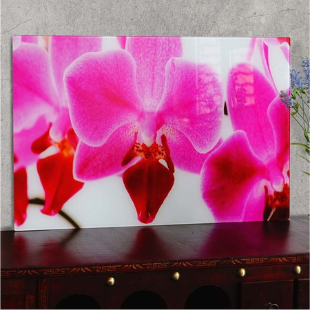 MCW Glasbild Orchidee in Rosa, Wandbild Motiv Floral, B: 40 cm, H: 60 cm