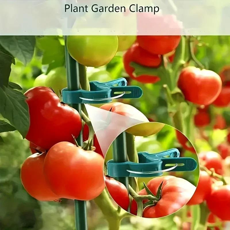 100 Stück verstellbare Pflanzenfixierclips von YWZT Home Depot in Grün zur Befestigung von Blumen, Ranken und Tomaten im Garten - Bild 4