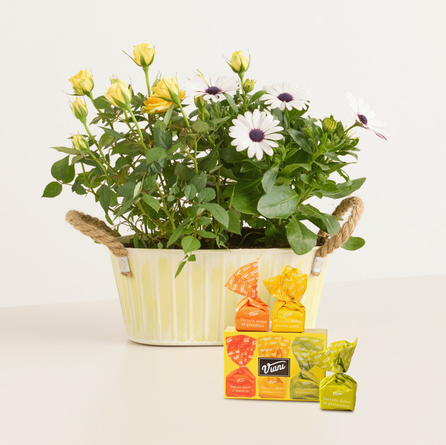 BLUME2000 Frühlingsgarten mit Tartufi-Trio Pflanztopf für Balkon und Terrasse - Bild 1
