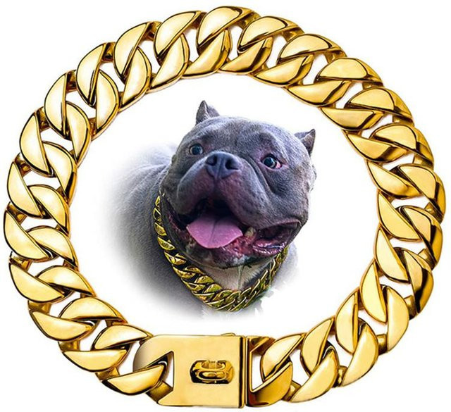 Halsband Edelstahl, Gold, 35 cm, Große Hunde - Bild 1