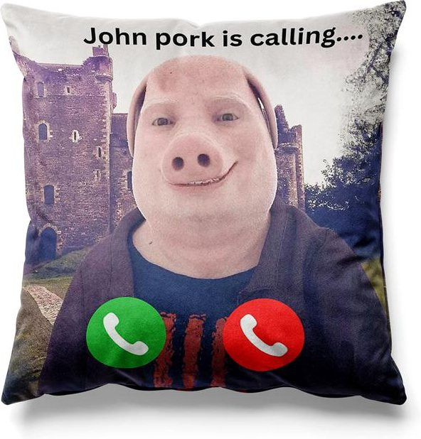 Aertemisi John Pork Dekokissenbezug quadratisch aus Peach Skin, B/B: 45 x 45 cm - Bild 1