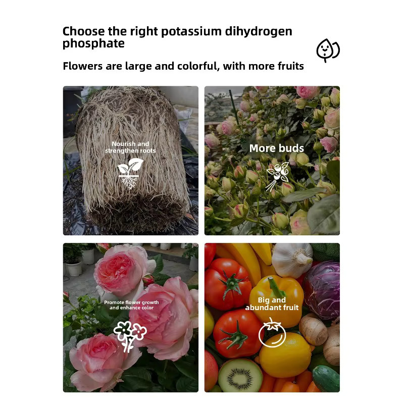 Kaliumdihydrogenphosphat-Blumendünger als wasserlöslicher Pflanzentonikum für Topfpflanzen und Ziergartenpflanzen - Bild 3