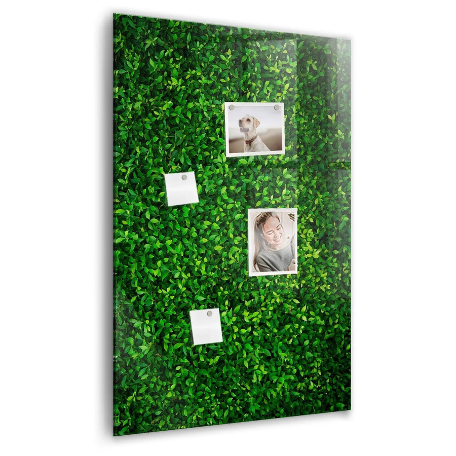Tulup Magnettafel aus Glas mit Blättern der Zaunpflanze, Weiß und Grün, B: 90 cm, H: 60 cm - Bild 2
