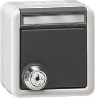 Gira Schuko Steckdose Typ F mit Klappdeckel und Schloss, IP44, Grau - Bild 1
