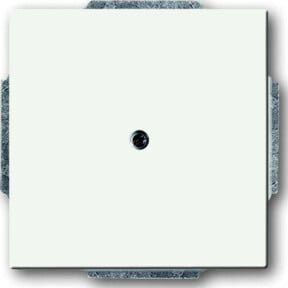 Busch-Jaeger Zentralscheibe weiß Blindabdeckung mit Tragring 1742-884 - Bild 1
