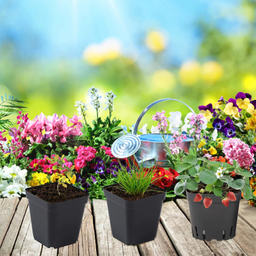100 Stück weiche Sämlingstöpfe aus Kunststoff in Schwarz für die Aussaat im Garten und Gemüsebeet - Bild 5