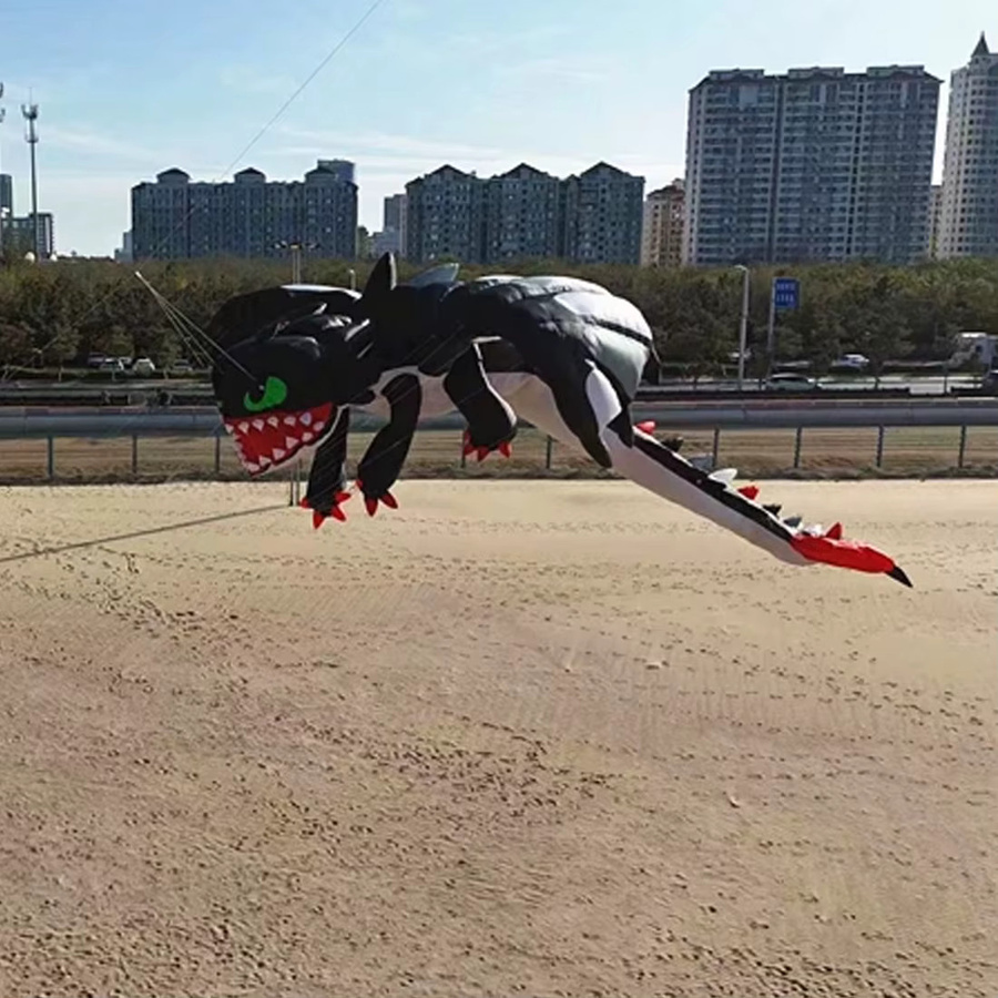 9KM DWLIFE Drachen-Linie Fisch-Show-Drachenanhänger, bunt, 13m - Bild 2