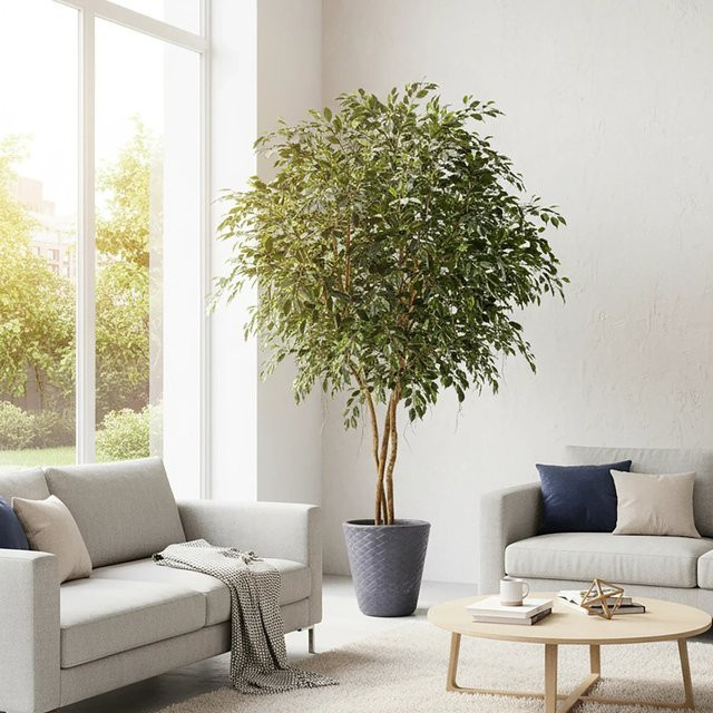 Künstlicher Ficus Timmi von Aplanta, Höhe: 300 cm - Bild 1