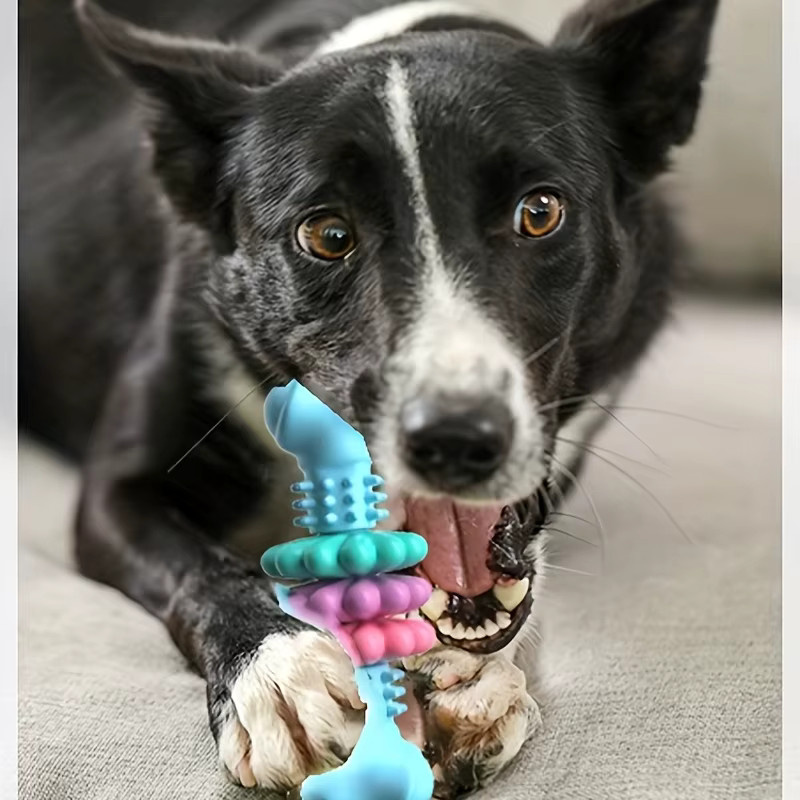 DUTRIEUX Kauknochen für Hunde, TPR-Kauknochen, Zahnreinigungsspielzeug - Bild 6