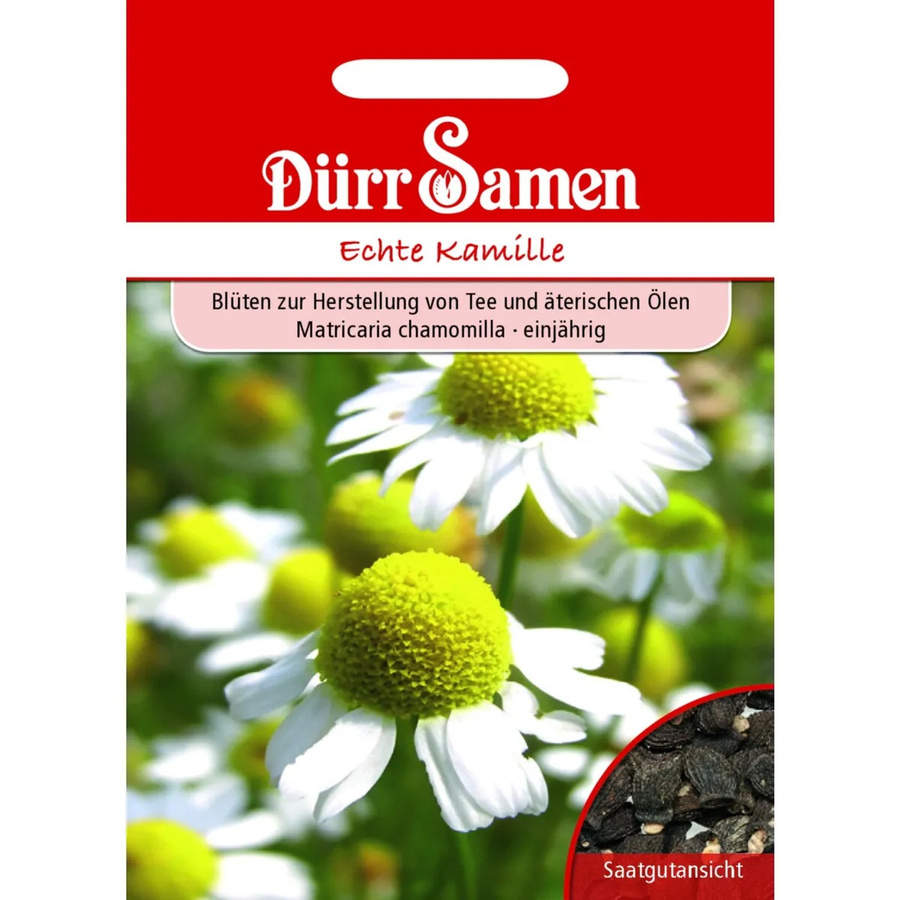 Dürr Echte Kamille Saatgut für Frühjahr und Herbst 50 g - Bild 2