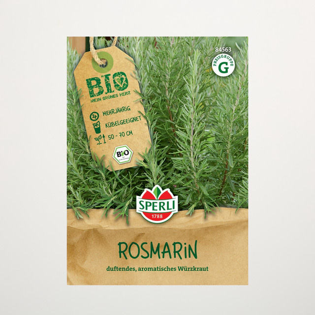 Sperli Rosmarin Samen BIO für Kräutergärten und Töpfe - Bild 1