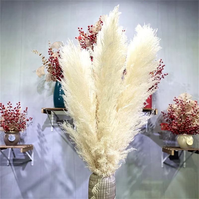 GARCIA Pampasgras beige, natürlicher getrockneter Blumenstrauß für Boho-Hochzeitsdekoration und Vintage-Heimdekoration - Bild 5