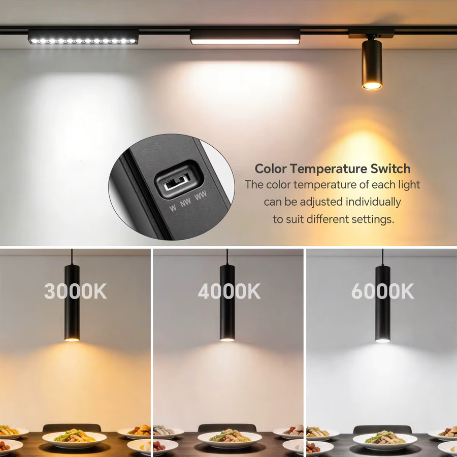 Rybakov CCT Magnetisches LED-Schienensystem in Schwarz, Dimmbarer Modern Floodlight Gitterstrahler für Wand- und Deckenbeleuchtung - Bild 2
