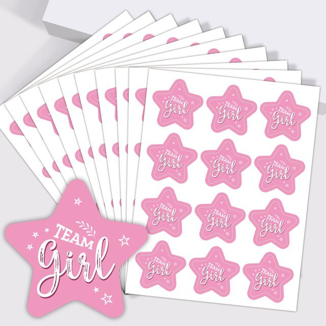 10 Blatt Team Girl Boy Aufkleber mit rosa und blauem Stern-Design für Babypartys und DIY-Scrapbooking - Bild 1