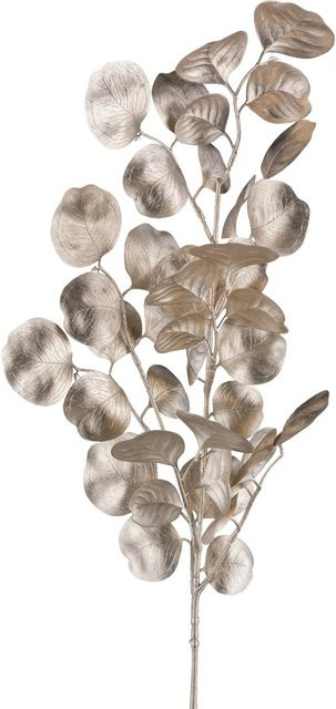 Modern Living Dekozweig Eukalyptus in Champagner und Beige - Bild 1
