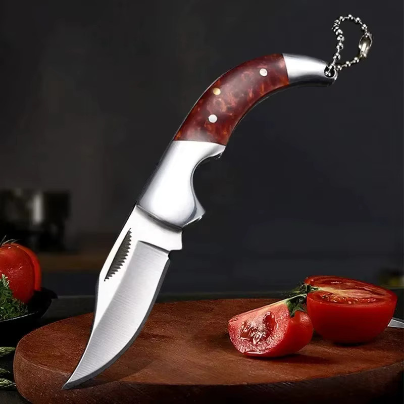 WXCOO Mini Edelstahl Klappmesser mit Kunstharzgriff als Schlüsselanhänger und Obstschälmesser - Bild 2