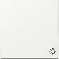 Gira Wippe mit Symbol Licht in Weiß - Bild 1