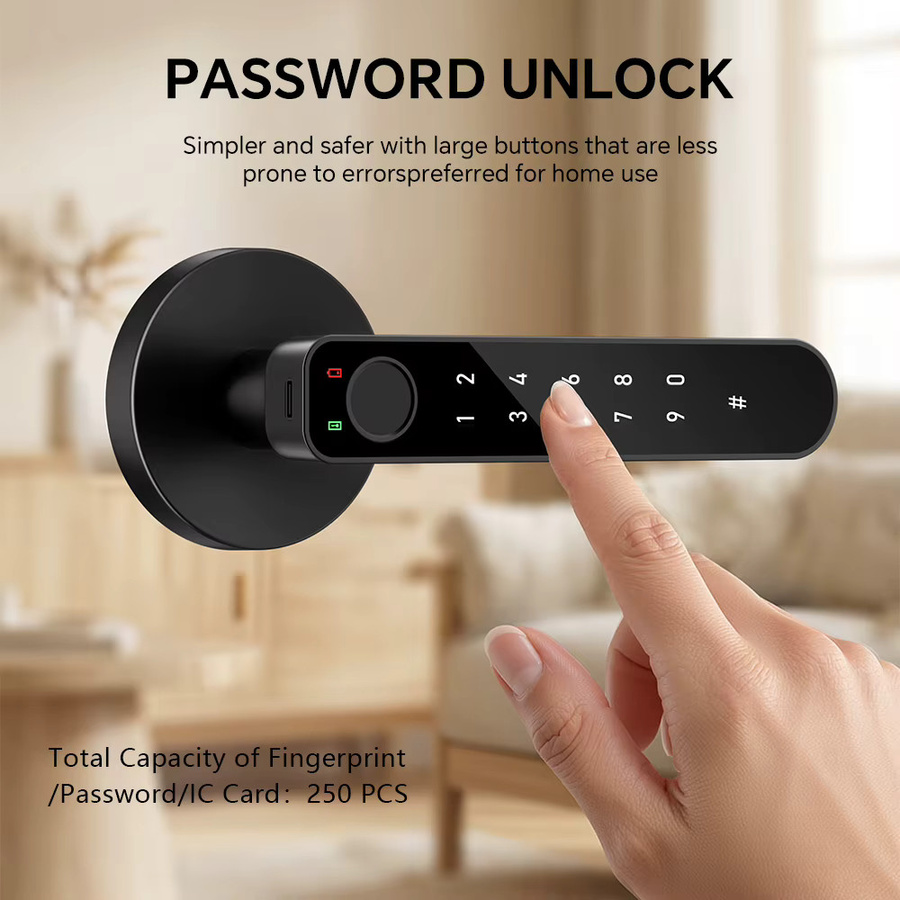ICCSSI Smart Door Lock B208APRO Fingerabdruckschloss in Schwarz mit Tuya App, Passwort, IC-Karte und Schlüsselentriegelung sowie mehrsprachiger Audio-Wiedergabe - Bild 3