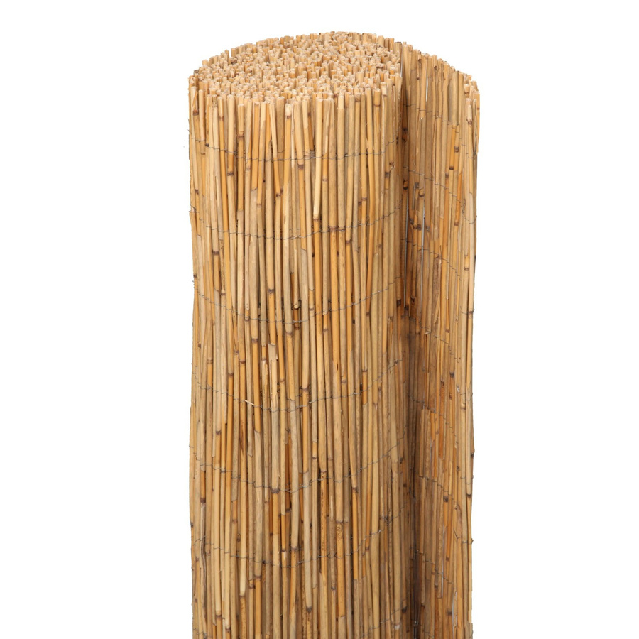 Floraworld Schilfrohrmatte Comfort Plus aus Schilfrohr mit verzinktem Draht, B: 600 cm, H: 200 cm - Bild 2