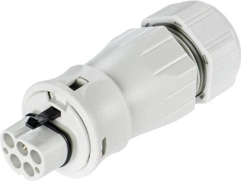 Wieland Electric 96.052.4553.0 Steckverbinder in Grau und Weiß - Bild 1