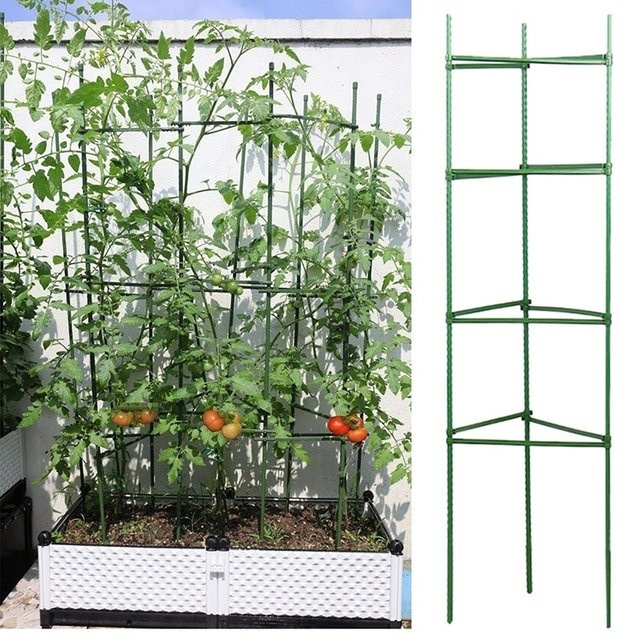 12 Stück erweiterbare Pflanzenstützen in Grün für Kletterpflanzen und Reben zur Gartenunterstützung - Bild 1