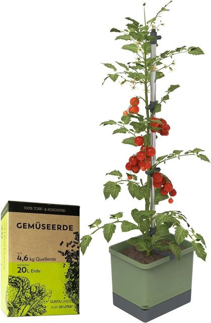 Gusta Garden Tomatentopf Tom Tomato Pflanzentopf mit Rankhilfe in Dunkelgrün - Bild 1