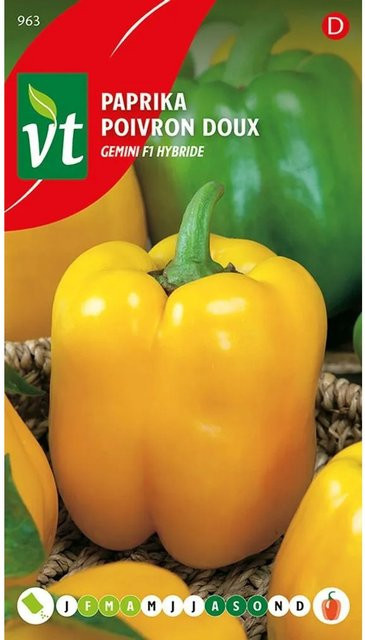 Arborix Paprika Goldenstar F1 Saatgut für Garten und Gewächshaus, 0,15 g - Bild 1