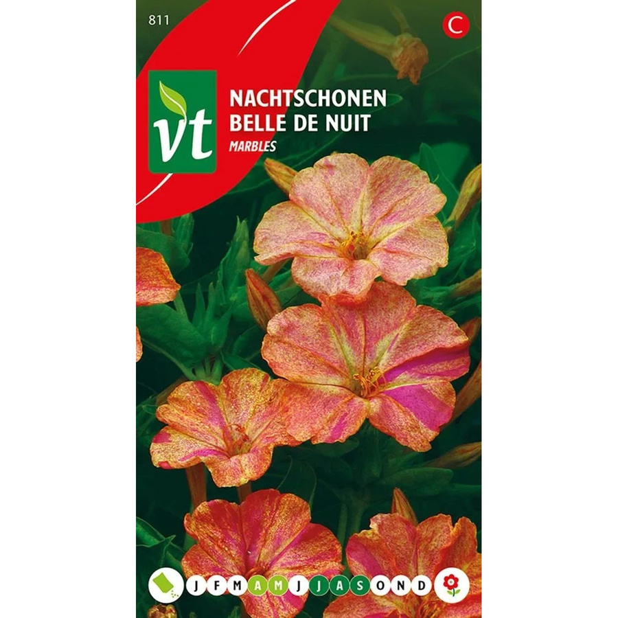 Arborix Wunderblume Murmelmix Samen mit marmorierten Blüten, ca. 1,5 g - Bild 2