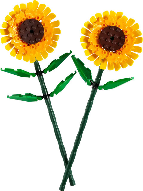 LEGO Icons Sonnenblumen, Natur, ab 8 Jahren - Bild 2