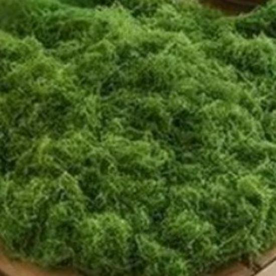 Global Finds Künstliches Moos und Seidengras in Grün aus Polyestergewebe für Landschaftsbau und Dekoration - Bild 1