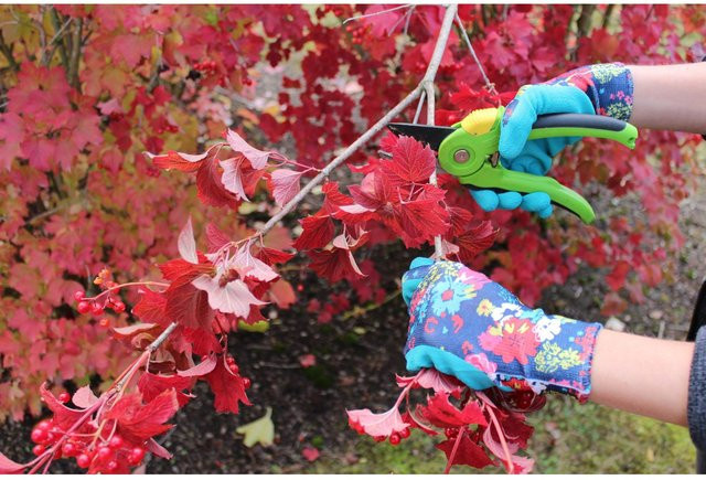 Workpower Gartenhandschuh Fiona in Lachs, Größe 7 - Bild 1