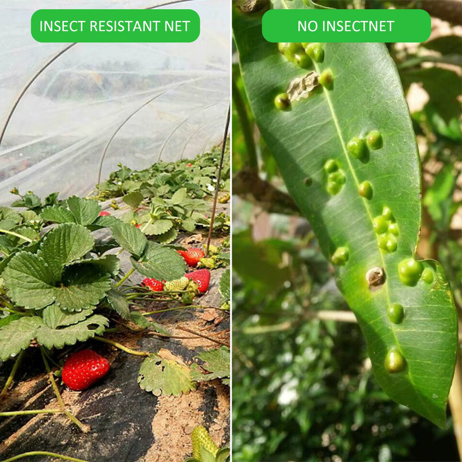 Garten-Insekten-Schutznetz mit 60 Maschen zur Schädlingsbekämpfung für Gemüse, Obst und Blumen im Gewächshaus - Bild 4