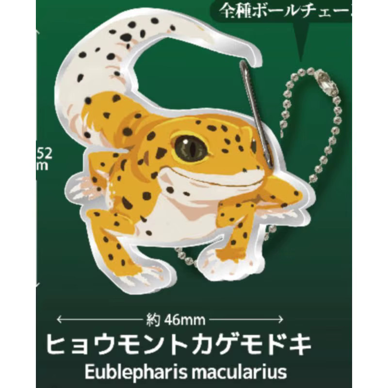 Bandai Kawaii Gecko-Liebhaber Karabiner Gashapon Kapselspielzeug, Modell Geschenkfiguren, ab 14 Jahre - Bild 3