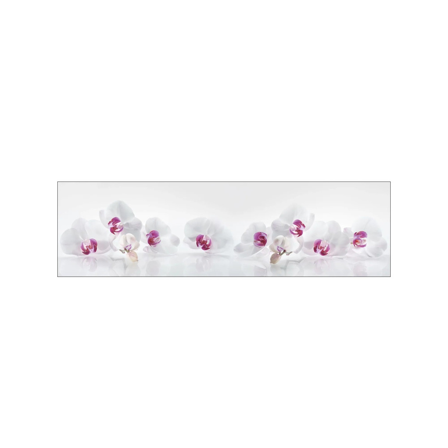 MySpotti Küchenrückwand Profix Cucina Orchidee in Lila-Weiß, B: 210 cm, H: 60 cm, T: 60 cm - Bild 1