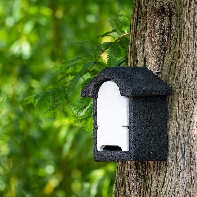 Fledermauskasten Harlech von CJ Wildlife aus Beton in Schwarz und Weiß - Bild 1