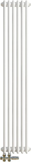 Duschparadies Traditioneller Heizkörper in Gusseisen-Optik mit 2 Säulen für Warmwasserbetrieb, Weiß, B: 150 cm, H: 29 cm, 756W - Bild 1